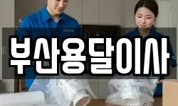 부산용달이사