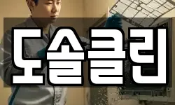 도솔클린
