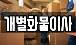 개별화물이사
