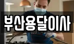 부산용달이사