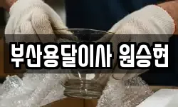 부산용달이사 원승현