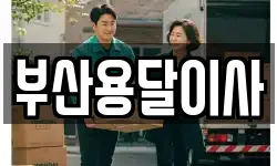 부산용달이사