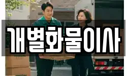 개별화물이사