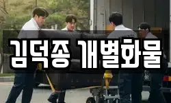 김덕종 개별화물