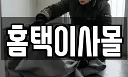 홈택이사몰