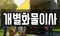 개별화물이사