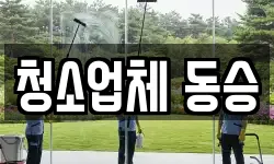 청소업체 동승