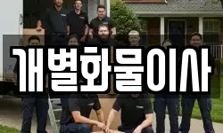 개별화물이사