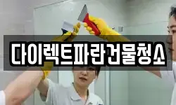 다이렉트파란건물청소