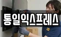 통일익스프레스