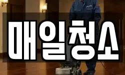 매일청소