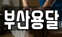 부산용달