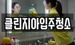 클린지아입주청소