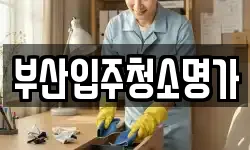 부산입주청소명가