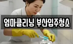 엄마클리닝 부산입주청소