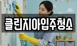 클린지아입주청소