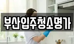 부산입주청소명가