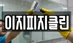 이지피지클린