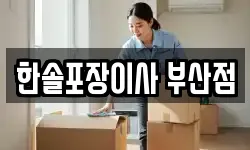 한솔포장이사 부산점