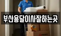 부산용달이사잘하는곳