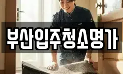 부산입주청소명가