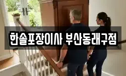 한솔포장이사 부산동래구점