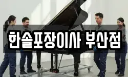 한솔포장이사 부산점