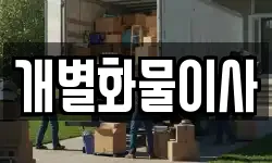 개별화물이사