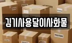 김기사용달이사화물