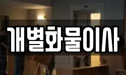 개별화물이사