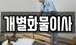 개별화물이사
