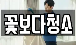 꽃보다청소