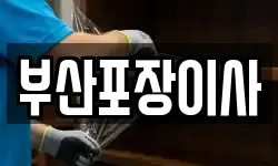 부산포장이사