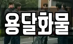 용달화물