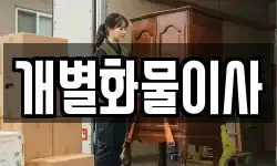 개별화물이사