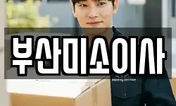 부산 부산진구 범천동 이사,용달이사,포장이사,원룸이사,보관이사