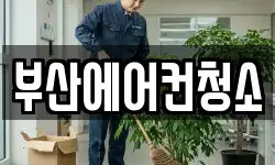 부산 부산진구 청소,입주청소,사무실청소,에어컨청소