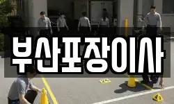 부산포장이사