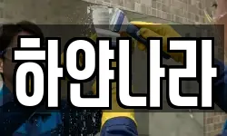 하얀나라