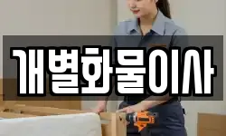 개별화물이사