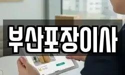 부산포장이사