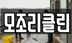 모조리클린