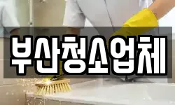 부산청소업체