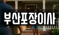 부산포장이사