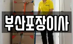 부산포장이사