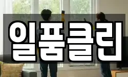 일품클린