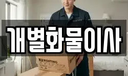 개별화물이사