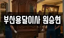부산용달이사 원승현