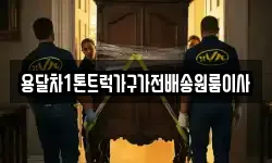 용달차1톤트럭가구가전배송원룸이사