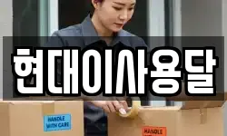현대이사용달